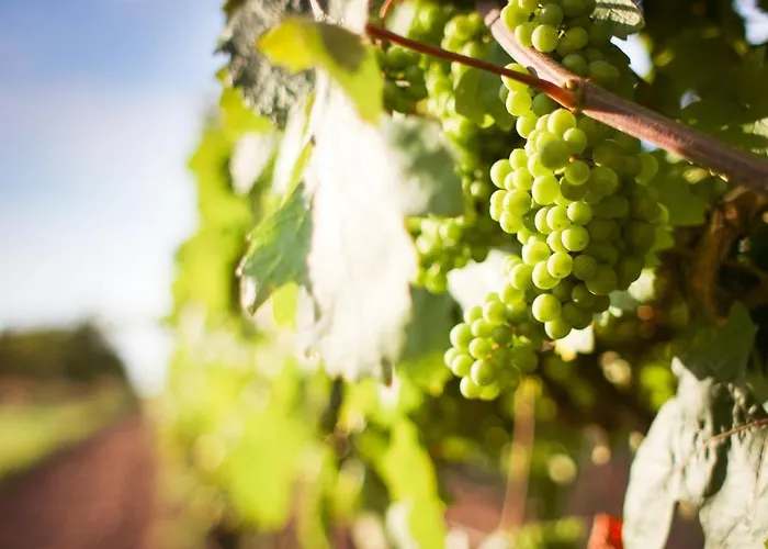 Lejlighed 3-zimmer Haus 85qm Mit Balkon Bis Zu 8 Personen *