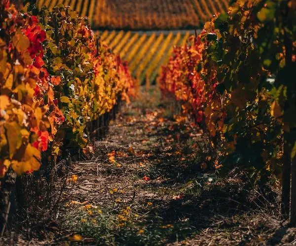 3-zimmer Haus 85qm Mit Balkon Bis Zu 8 Personen * Winningen